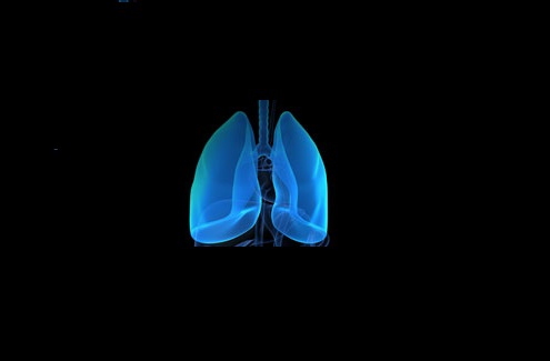 Air Pollution in London